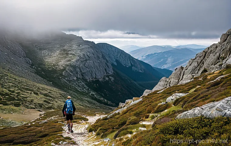 레크리에이션 활동 장비와 도구 추천 - **Prompt: "A male hiker, approximately 35 years old, with a well-adjusted Osprey hiking backpack, is...